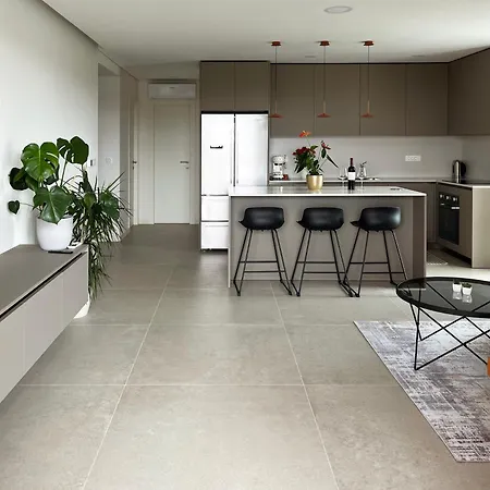 Serenity Delight Apartment *